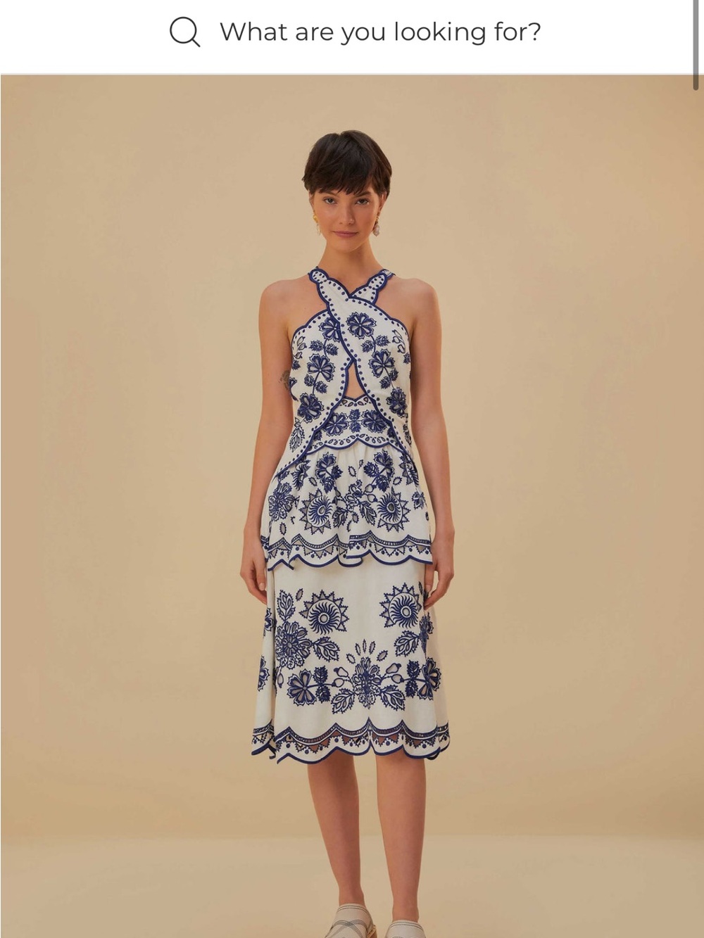 Farm Rio Richelieu Modi Sleeveless Blue & White Embroidered Halter Dress